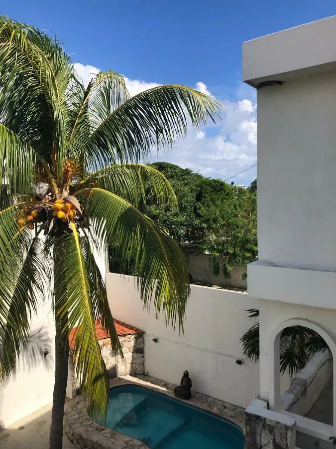 Hostal Inn Playa del Carmen Vandrerhjem